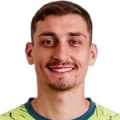 Đorđe Petrović