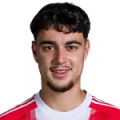 Aleksandar Pavlović
