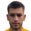 D. Stojicevic
