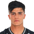 A. N. Tello Cabrera