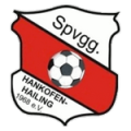 Hankofen-Hailing