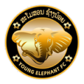 Young Elephant