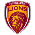 Bulleen Lions