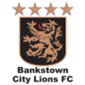 Bankstown City Lions