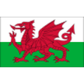 Pays de Galles U18