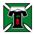 Deportes Temuco