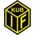 Kubikenborg