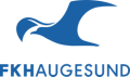 Haugesund W